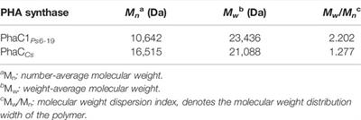 Class I Polyhydroxyalkanoate (PHA) Synthase Increased Polylactic Acid Production in Engineered Escherichia Coli